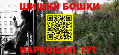 гашик Кулебаки