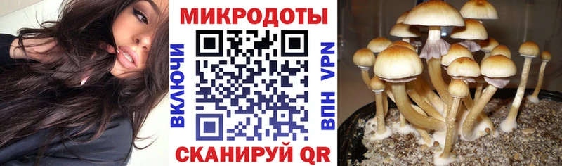 Галлюциногенные грибы мухоморы  гидра ссылка  Серпухов  закладка 