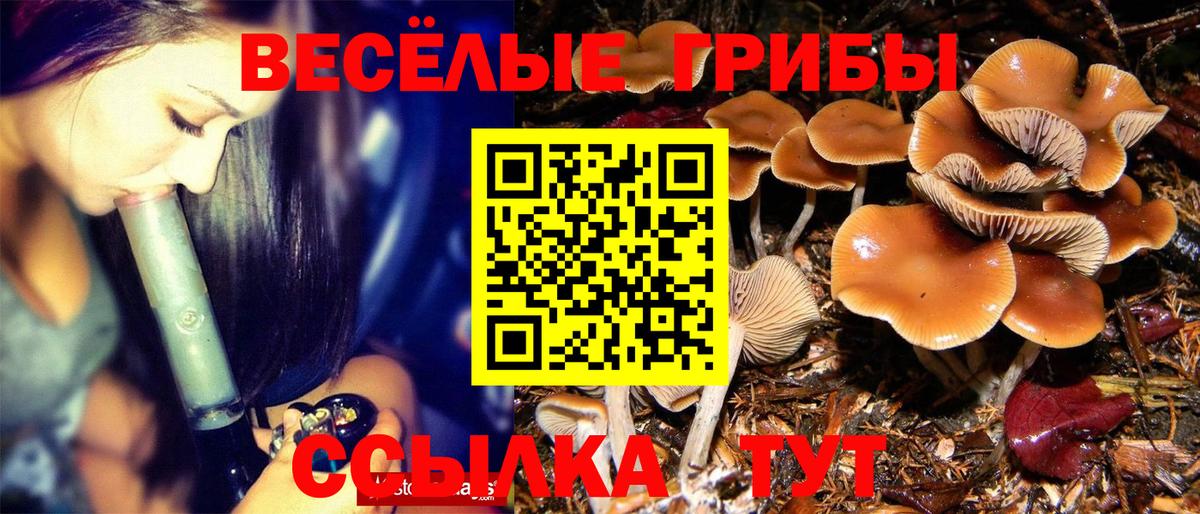 Серпухов  Псилоцибиновые грибы MAGIC MUSHROOMS  сколько стоит  Вход с VPN 