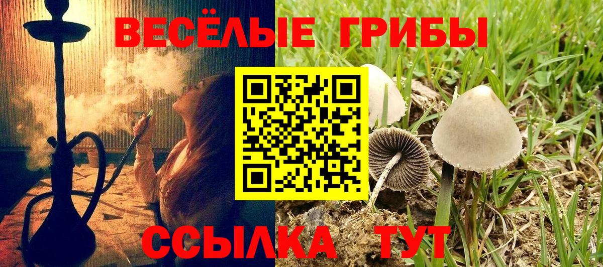 Галлюциногенные грибы ЛСД Серпухов